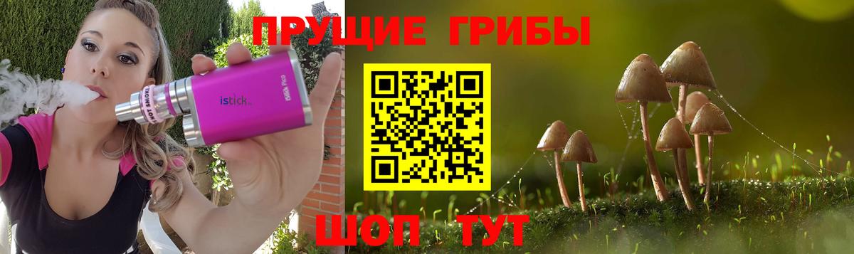 Псилоцибиновые грибы GOLDEN TEACHER  Вход с VPN  Тамбов 